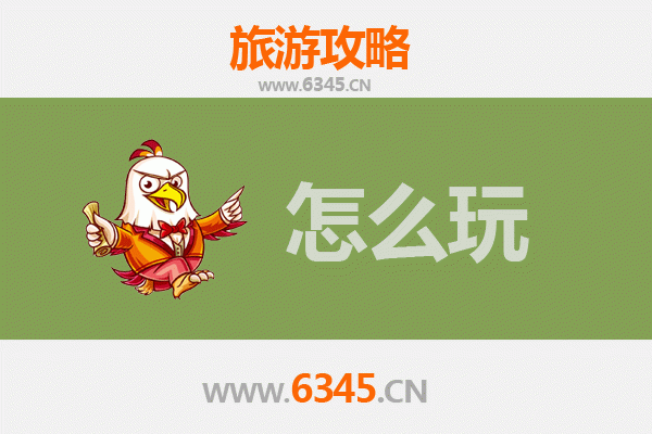 漳平假日悠闲之旅：山水茶香与古韵的完美融合